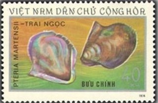 カキ.1974.jpg