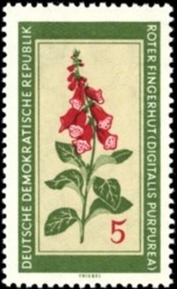 ジギタリス.1960.東ドイツ.jpg