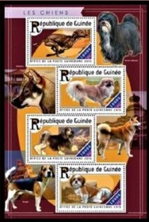 104.Beagle^g[g.MjA.2015.jpg