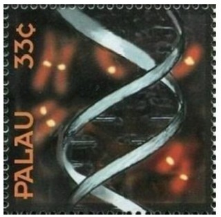DNA二重螺旋.2000パラオ.jpg