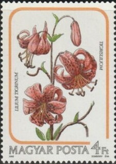 Ij.nK[.1985.jpg