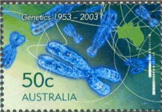 カンガルーの染色体.2003.オーストラリア.jpg