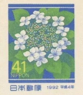 KNAUTC.1991.߁[.jpg