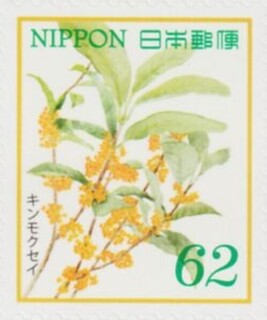 キンモクセイ.2019.jpg