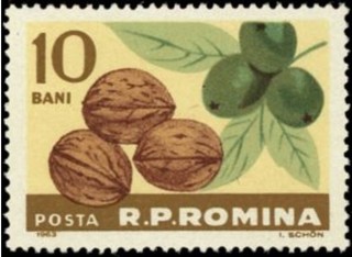 クルミ.ルーマニア.1963.jpg