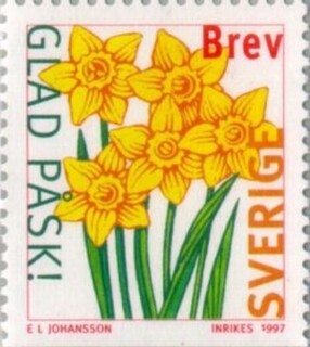 XCZ.XEF[f.1997.jpg