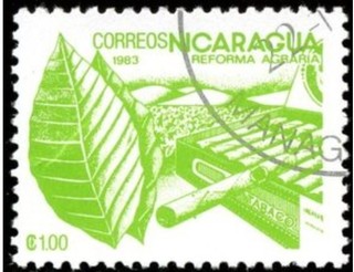 タバコ.ニカラグア.1983.jpg