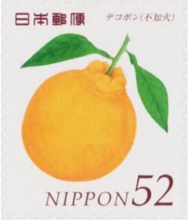 デコポン.日本.2015.jpg