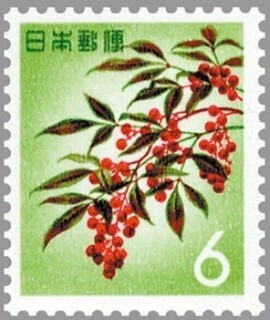 ナンテン.1962.jpg