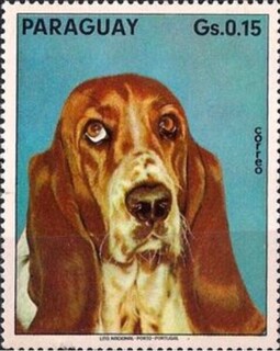 oZbhnEh.pOAC.1975.jpg