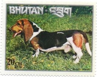 oZbhnEh.u[^.1973.jpg