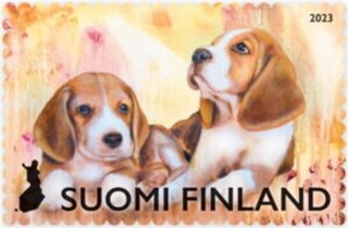 ビーグル仔犬.2023.フィンランド.jpg