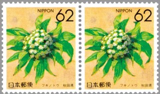 tLmgE.1990.jpg