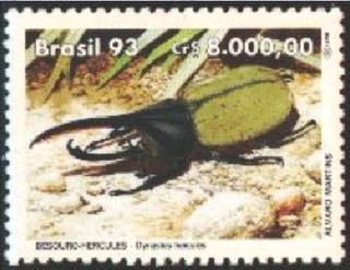 ヘラクレスオオツノカブト.ブラジル.1993.jpg