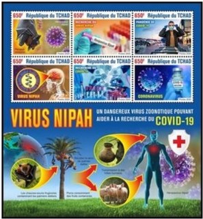 人獣共通感染症ウイルス.チャド.2020.jpg