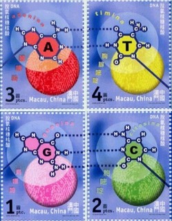 塩基配列.マカオ.2001.jpg