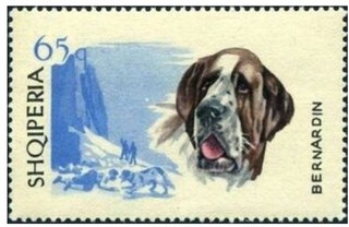救助犬.アルバニア.1996.jpg