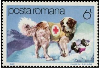 災害救助犬.ルーマニア.1982.jpg