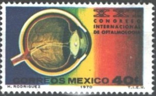 眼球断面図.メキシコ.1970.jpg