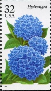 z.č.1995.jpg