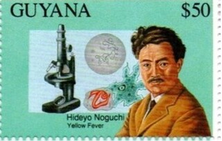 .KCAi.1993.jpg